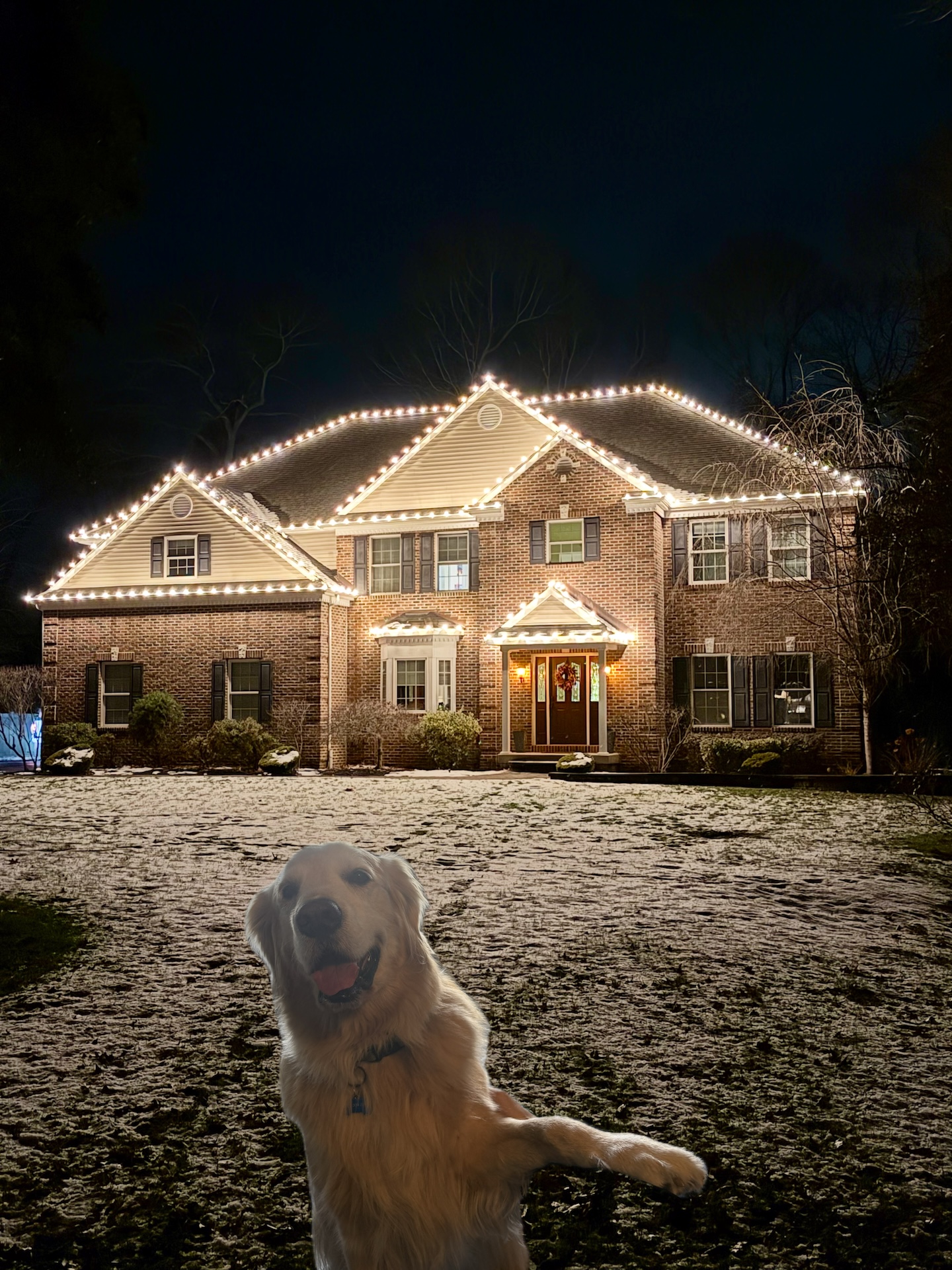 Christmas lighting installation in Pittsgrove NJ